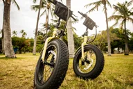 Waikiki Electric Bike Tour: Diamond Head Hike thumbnail 1