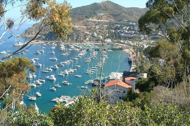 Catalina Island Adventure Tour 2 hr - Image 4