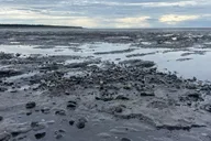 Anchorage Discovery Tour thumbnail 2