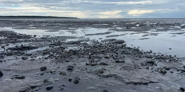 Anchorage Discovery Tour - Image 2