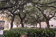 New Orleans City Driving Tour thumbnail 4