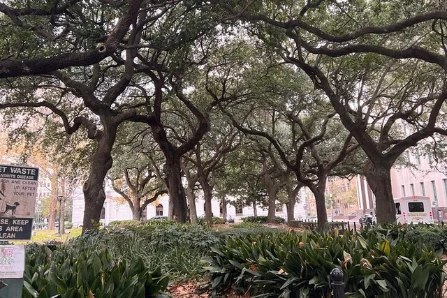 New Orleans City Driving Tour - Image 4