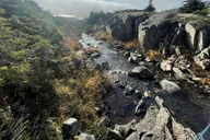 Skagway Highlights Tour with Guide 1.5 hr thumbnail 5