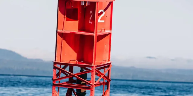 Sitka Whale Watching Tour with Naturalist - Image 3