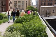 New York City High Line Scavenger Hunt Walking Tour thumbnail 4