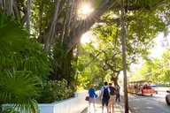 Key West Historic Walking Tour thumbnail 4