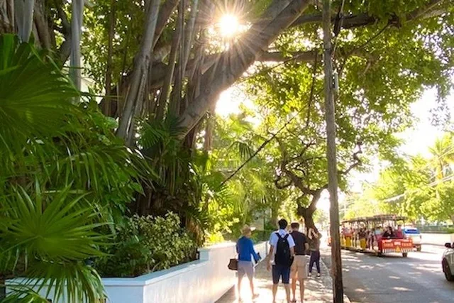 Key West Historic Walking Tour - Image 4