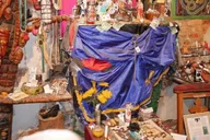 New Orleans Voodoo Museum Walking Tour 2 hr thumbnail 3