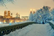 Brooklyn Dyker Heights Festivities Tour thumbnail 4