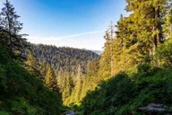 Ketchikan Mountain Lake Trek thumbnail 4