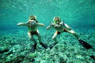 Maui Snorkel and Sail at Coral Gardens 2.5 hr thumbnail 3