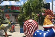 Miami Gourmet Walking Tour in French 2.5 hr thumbnail 1