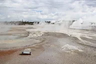 Yellowstone Lower Loop Private Tour with Lunch thumbnail 3