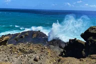 Oahu Island North Shore Small Group Tour thumbnail 3