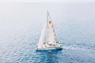 Lahaina Whale Watching Catamaran Tour 2 hr thumbnail 5