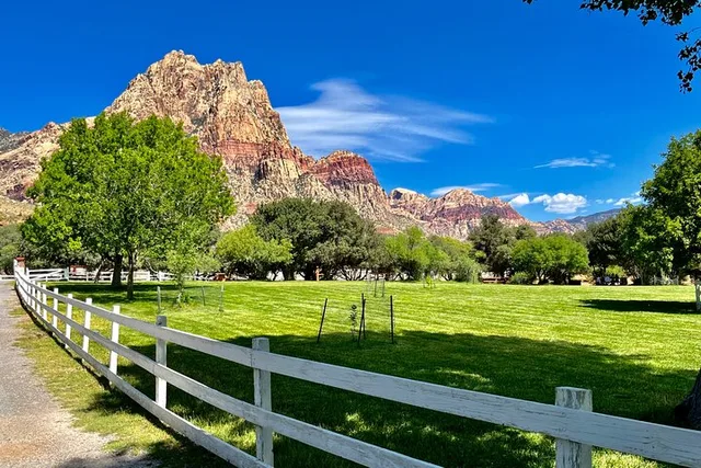 Las Vegas Red Rock Canyon Tour - Image 1