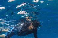 Maui Lanai Snorkel and Dolphin Watch 5 hr thumbnail 2