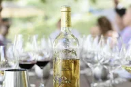 Napa Valley Wine Tasting Tour via San Francisco Ferry thumbnail 5