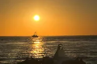 Destin Harbor Boat Ride and Dolphin Watching thumbnail 2