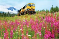 Anchorage to Seward Round-Trip Rail Journey thumbnail 3