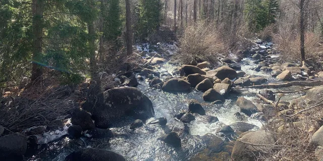 Aspen Guided Hike with Roaring Fork River Views 2 hr - Image 2