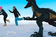 Salt Lake City Antelope Island & Salt Flats Tour thumbnail 3