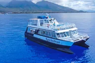 Ma'alaea Whale Watching Tour Aboard Catamaran thumbnail 2