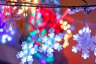 Brooklyn Dyker Heights Christmas Lights Tour thumbnail 6