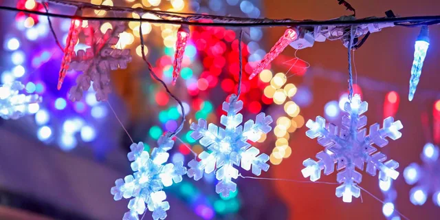 Brooklyn Dyker Heights Christmas Lights Tour - Image 6