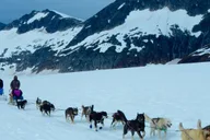 Juneau Helicopter Dogsledding on Herbert Glacier thumbnail 2