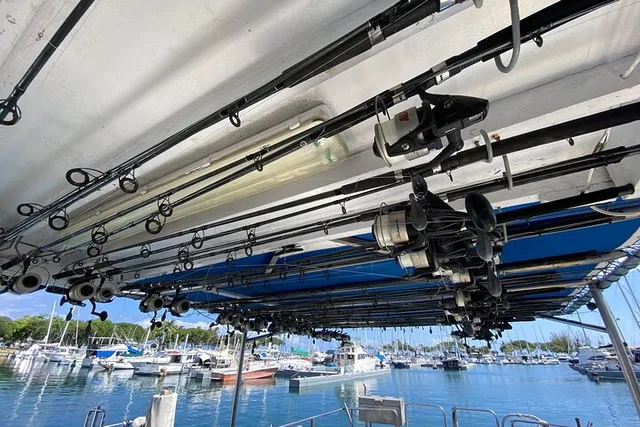 Honolulu Bottom Fishing Adventure 3 hr - Image 1
