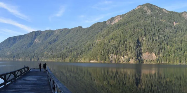 Port Angeles Olympic National Park Half-Day Tour - Image 3