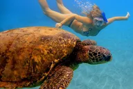Ka'anapali Snorkel Adventure 2 hr thumbnail 2