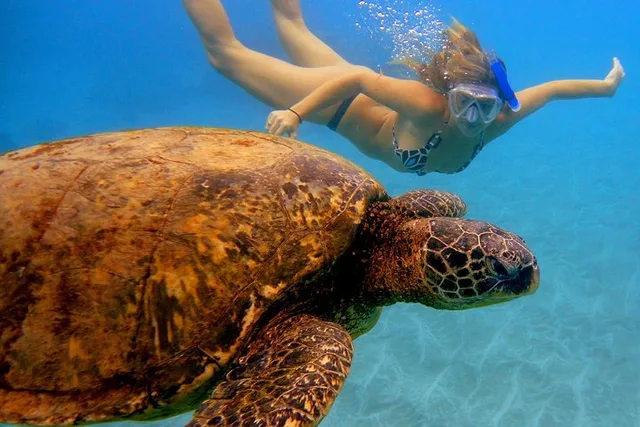 Ka'anapali Snorkel Adventure 2 hr - Image 2