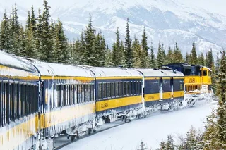 Anchorage to Fairbanks Aurora Winter Train