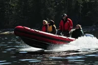 Ketchikan Zodiac Wilderness Adventure thumbnail 5