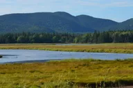 Bar Harbor Acadia National Park Private Tour with Lobster Lunch thumbnail 6