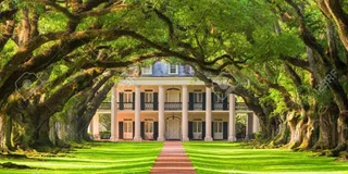 New Orleans Plantation Tour: Oak Alley & Laura