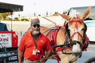 New Orleans French Quarter Carriage Ride thumbnail 1