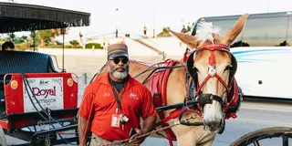New Orleans French Quarter Carriage Ride