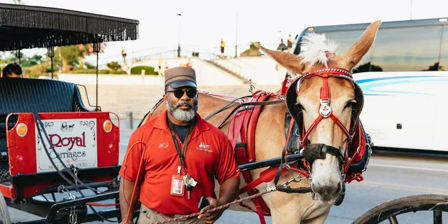 New Orleans French Quarter Carriage Ride - Image 1