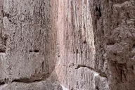 Las Vegas Cathedral Gorge and Area 51 Tour thumbnail 4