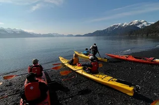Seward Kayaking Adventure in Resurrection Bay
