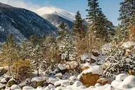 Estes Park Sledding Tour in Rocky Mountain National Park thumbnail 6