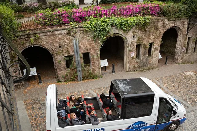 Savannah Open-Top Panoramic City Tour - Image 3