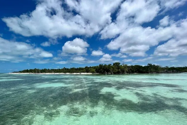 Key West Marquesas Keys Eco Adventure Full-Day Charter - Image 6