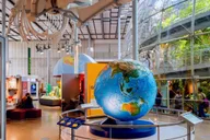 San Francisco Hop-On Hop-Off & Academy of Sciences Tour thumbnail 5