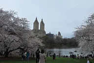 New York Central Park Pedicab Tour thumbnail 2
