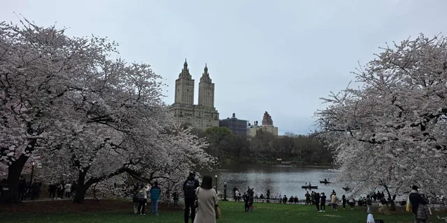 New York Central Park Pedicab Tour - Image 2