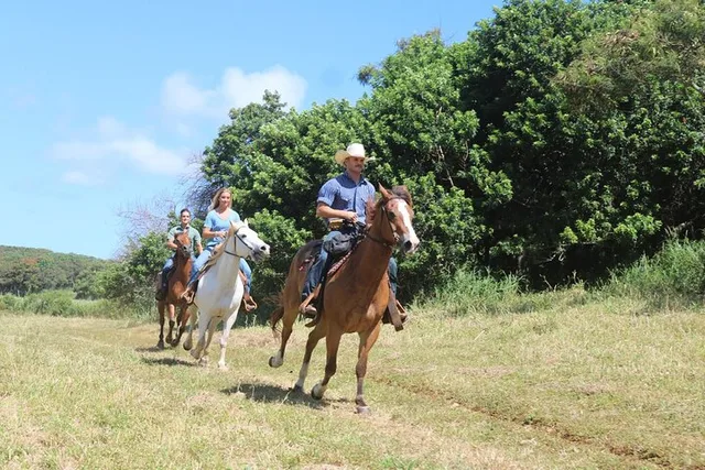 Oahu Advanced Trail Ride - Image 1